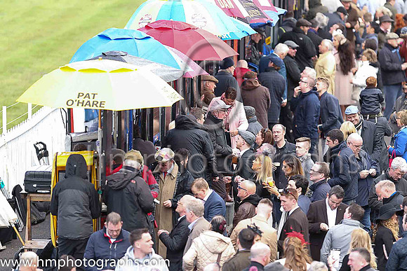 Spectators at Down Royal on May Day 2016