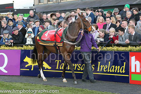 05th Sempre Medici ( 4 , pink, light green spots, green cap ) and Paul Townend - Trainer : W P Mullins