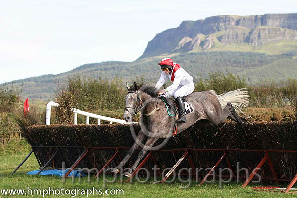 01 The Grey Taylor & J J Codd - winner (14, white, red sash) - FT8E8141-e-79