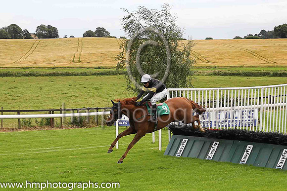02nd Powersbomb and J McGrath ( 9 , black, yellow disc ) Trainer - Brian M McMahon