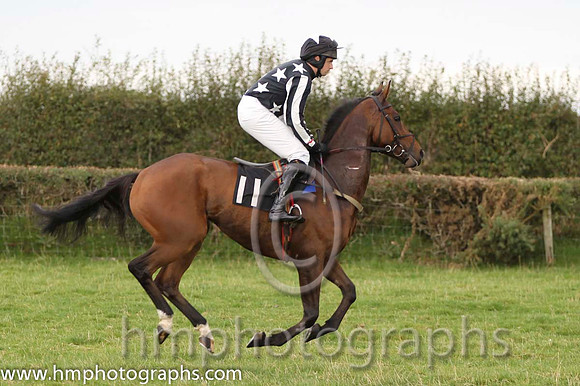 06 Steady Progress & S G Carey - 6th (11, black, white stars) - FT8E8306-15