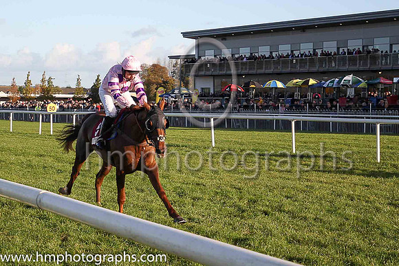02nd Silviniaco Conti and N D Fehily ( 5 , pink,large purple spots ) Trainer - P F Nicholls , Owner - Chris Giles  Potensis Bloodstock Ltd