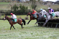 2016/04/16th - County Down Hounds P2P at Loughbrickland (lr)