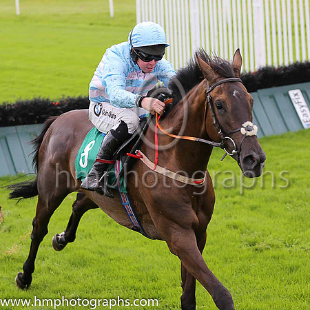05th Idee Emeryand A E Lynch ( 8 , light blue and pink chevrons ) Trainer - H de Bromhead