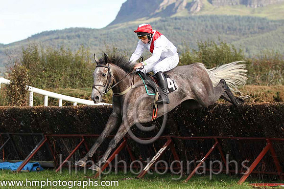 01 The Grey Taylor & J J Codd - winner (14, white, red sash) - FT8E8141-56