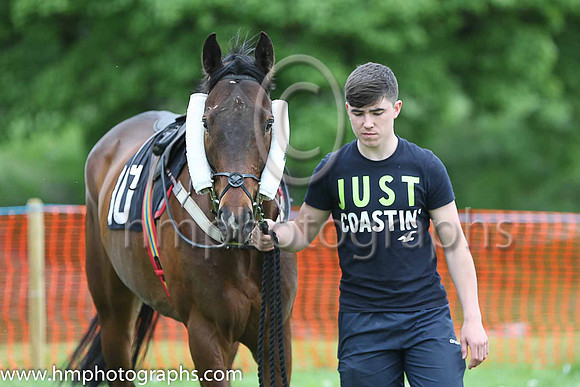 02nd SARSFIELDS LEGEND and J C Barry ( 10 ,Antrim (H) - EMERALD GREEN; white sleeves; white cap ) Trainer: Gary McGill,, Owner : Oran McGill