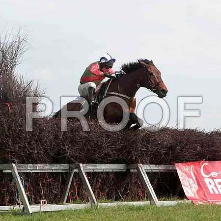 Super Day , Winner, Jockey - J J Codd -CU2D4581-e