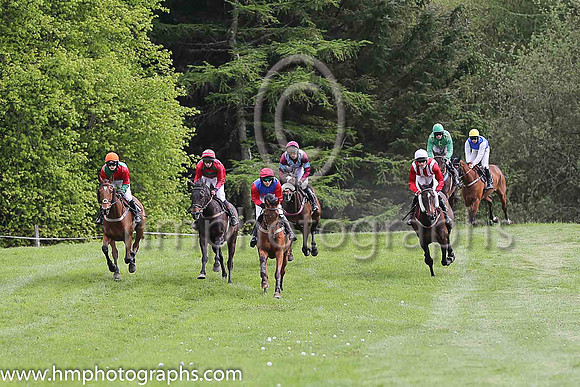 F AMERICAN IMAGE and N Gault ( 4 , ROYAL BLUE,red hoop; red sleeves; red cap ) Trainer: S. Michael Millar,, Owner : S. Michael Millar
