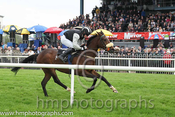 02 Ballintotty Boy & Mr P A King - 2nd (2, black, grey diamonds) - CU2D1853-33
