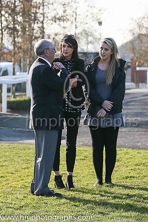 Parade Ring at Down Royal