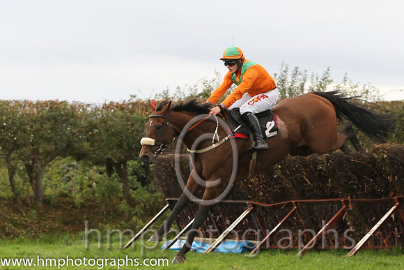 01 The Last Derby & R James - Winner (2, tangerine, green chevrons) - FT8E8432-27