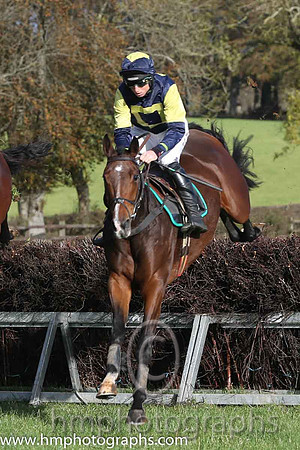 01 Shanroe Santos and J J Codd - - 01st (8 ,dark bkue, yellow hollow box ) Trainer - J J Lambe