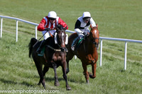 2016/04/16th - County Down Hounds P2P at Loughbrickland (lr)