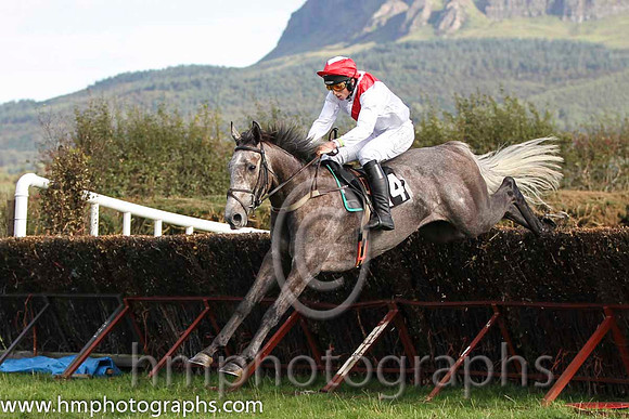 01 The Grey Taylor & J J Codd - winner (14, white, red sash) - FT8E8141-e2-80