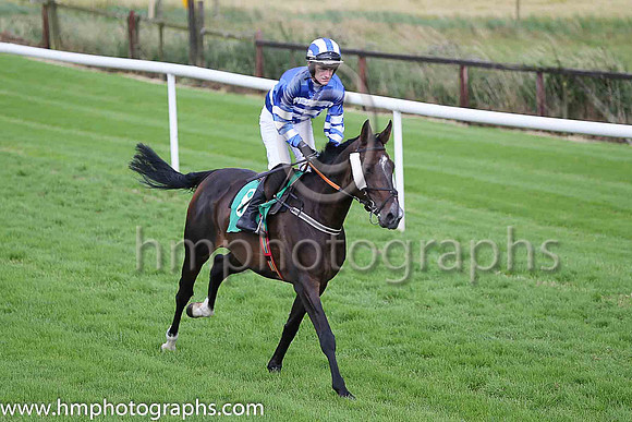 03rd Fiddle The Till and A Ring ( 8 , royal blue and white hoops ) Trainer - P J Rothwell