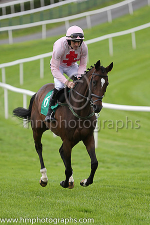 01st Sam King and R Walsh ( 6 , pink, red cross ) Trainer - T M Walsh