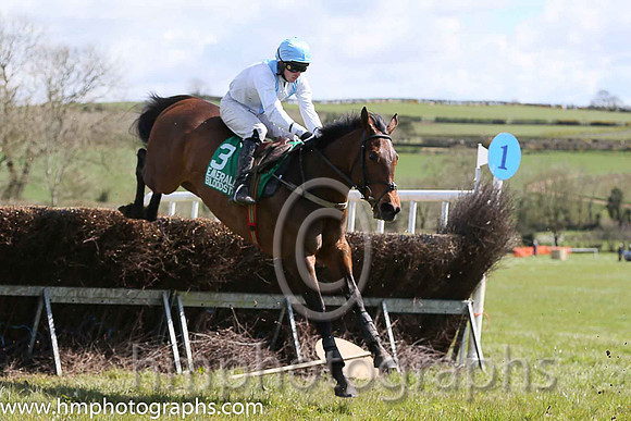 02nd ALMOST THERE and M J O'Hare ( 3 , WHITE,light blue chevron; white sleeves; light blue cap ) Trainer: J.G. Cosgrave,, Owner : J.G. Cosgrave