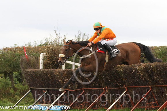 01 The Last Derby & R James - Winner (2, tangerine, green chevrons) - FT8E8431-26