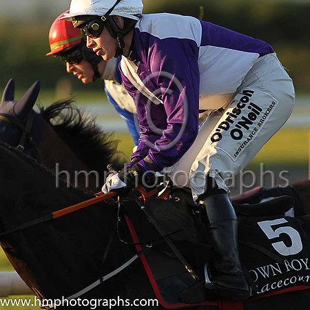 01st Robin Des Mana (5, purple and white qtrd) and Ms N Carberry, trainer Gordon Elliott, Owner T Howley Jnr