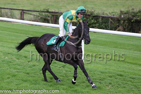 09th Western Goose and B M Cash ( 3 , emerald green, yellow chevron ) Trainer - K H Clarke