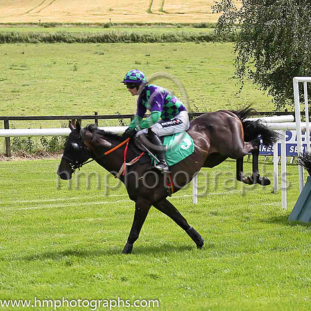 03rd Odit and D E Mullins ( 5 , purple and emerald green check ) Trainer - Ms M Mullins