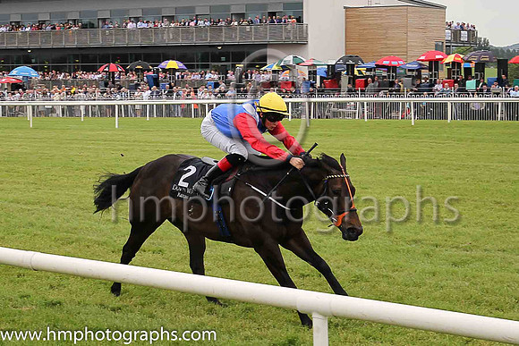 01st Lady Mega and Robbie Downey , trainer Edward Lynam winners of The Louis Roederer Handicap at Down Royal