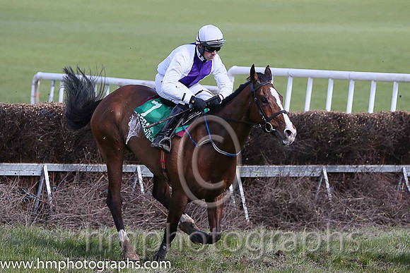 03rd MISS HONEYPENNIE and B O' Neill ( 7 , WHITE,purple panel; white sleeves; white cap ) Trainer: Mrs Prunella Dobbs,, Owner : Racing Syndicate Ringfort