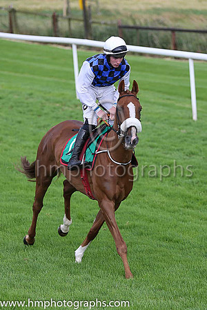 Fell Galveston and J W Kennedy ( 1 , royal blue and black check ) Trainer - G Elliott