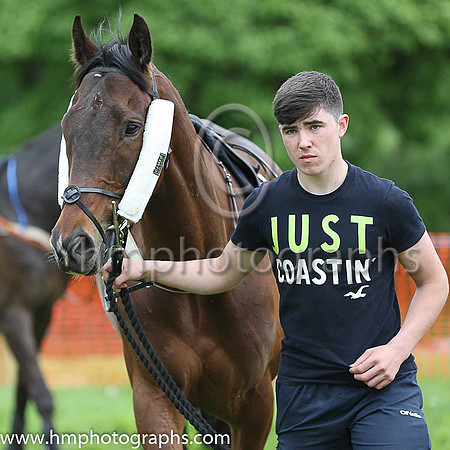 02nd SARSFIELDS LEGEND and J C Barry ( 10 ,Antrim (H) - EMERALD GREEN; white sleeves; white cap ) Trainer: Gary McGill,, Owner : Oran McGill