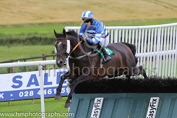 03rd Fiddle The Till and A Ring ( 8 , royal blue and white hoops ) Trainer - P J Rothwell