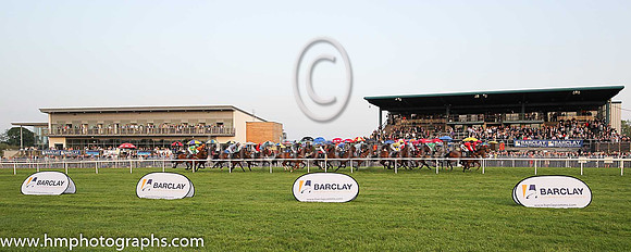 Spectators at Barclay Communications Race Evening at Down Royal