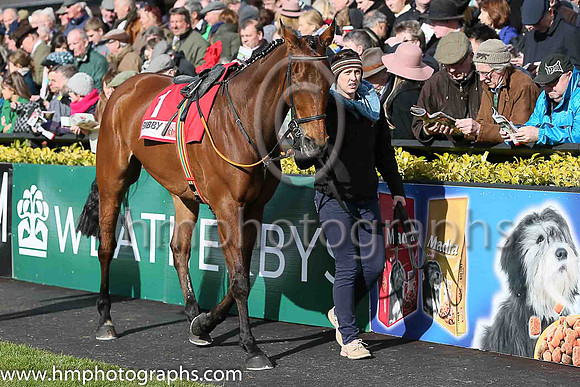 01st CARLINGFORD LOUGH ( 1 , emerald green and orange hoops ) and Barry Geraghty - Trainer : John E Kiely