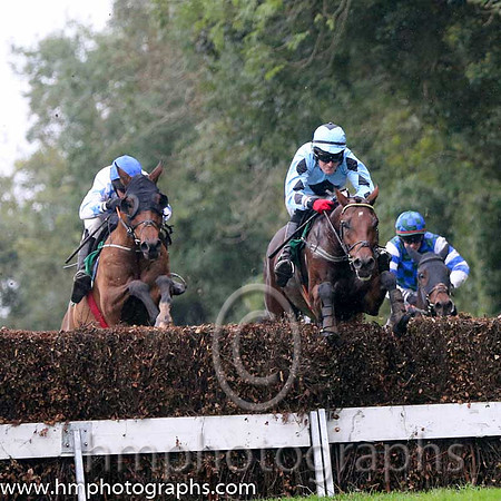 01 Formal Bid and P Carberry - - 01st (2 ,White, blue stars ) Trainer - G Elliott  03 Darwins Theory and G N Fox - - 03rd (1 ,Light blue, dark blue diamond ) Trainer - J Queally