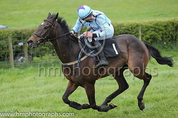 01st BALLYLUMFORD and B G Crawford ( 1 , LIGHT BLUE,navy seams; light blue sleeves; light blue cap,purple star ) Trainer: S.R.B. Crawford,, Owner : S.R.B. Crawford