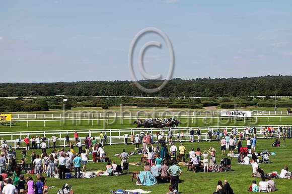 R3 - Nassau Storm & Jim Crowley - Winner (4, dark blue & yellow stripes) - IMG_9920-e