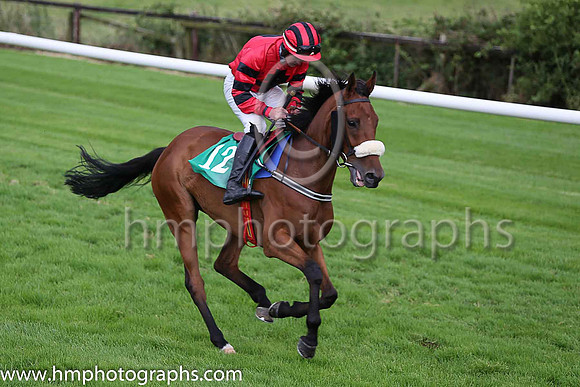 07th Athdara Steeler and G B Noonan ( 12 , red, black cross ) Trainer - W J O?Doherty
