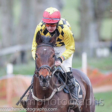 BOYCIE'S TAKEN and A Fox ( 2 , YELLOW  BLACK DIAMONDS; yellow, plain sleeves; red cap,yellow diamond ) Trainer: S.R.B. Crawford,, Owner : Miss S. Mackinnon