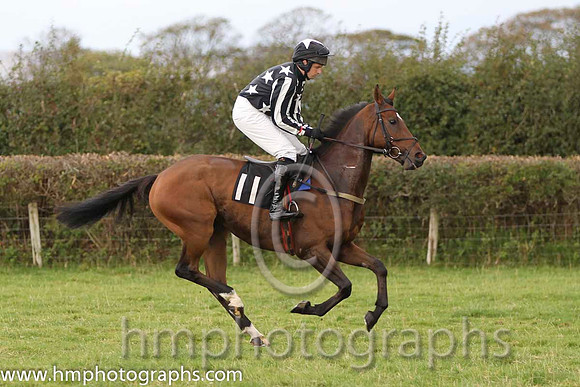 06 Steady Progress & S G Carey - 6th (11, black, white stars) - FT8E8303-12