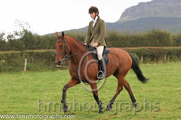 Female Rider at the Route Point to Point Steeplechases at Limavady - FT8E8293-9