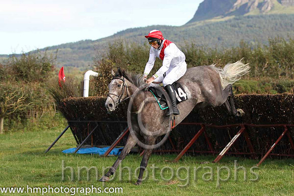01 The Grey Taylor & J J Codd - winner (14, white, red sash) - FT8E8142-57