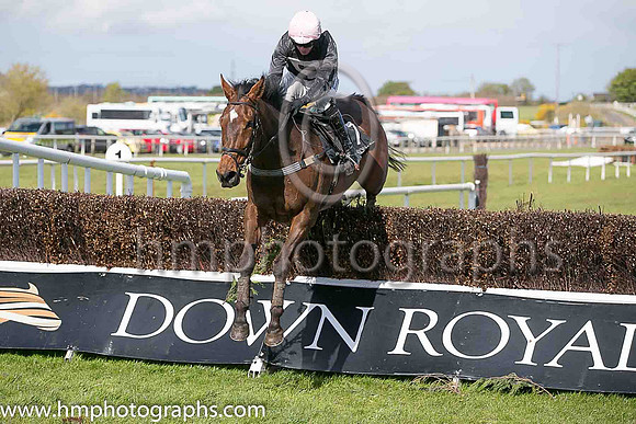 07th Shake The Bucket ( 7 , black, pink hollow box ) and N P Madden - Trainer : N Madden - Owner : Ms Sarah Ann Madden