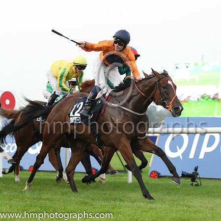 01 Baraweez and C O'Conoghue - - 01st (12 ,orange, dark blue disc ) Trainer - B Ellison