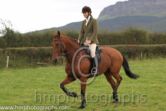 Female Rider at the Route Point to Point Steeplechases at Limavady - FT8E8292-8