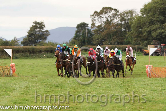 01 The Last Derby & R James - Winner (2, tangerine, green chevrons) - FT8E8429-25