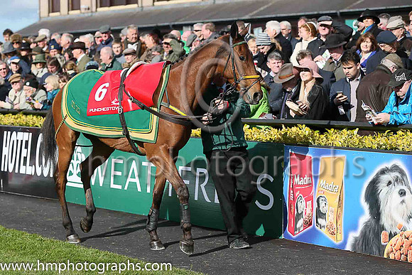 06thF ROAD TO RICHES ( 6 , maroon, white star white cap ) and Davy Russell - Trainer : Noel Meade