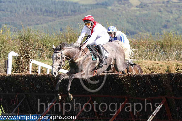 01 The Grey Taylor & J J Codd - winner (14, white, red sash) - FT8E8126-74