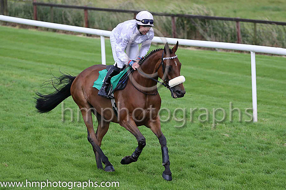 PU Mr Bien and R T Dunne ( 7 , mauve, white stars ) Trainer - D P Dunne