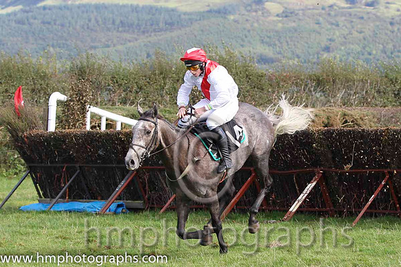 01 The Grey Taylor & J J Codd - winner (14, white, red sash) - FT8E8168-23