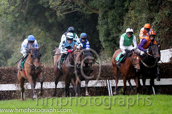 03 Darwins Theory and G N Fox - - 03rd (1 ,Light blue, dark blue diamond ) Trainer - J Queally