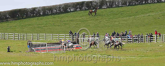 Point to Point Racing at Loughbrickland